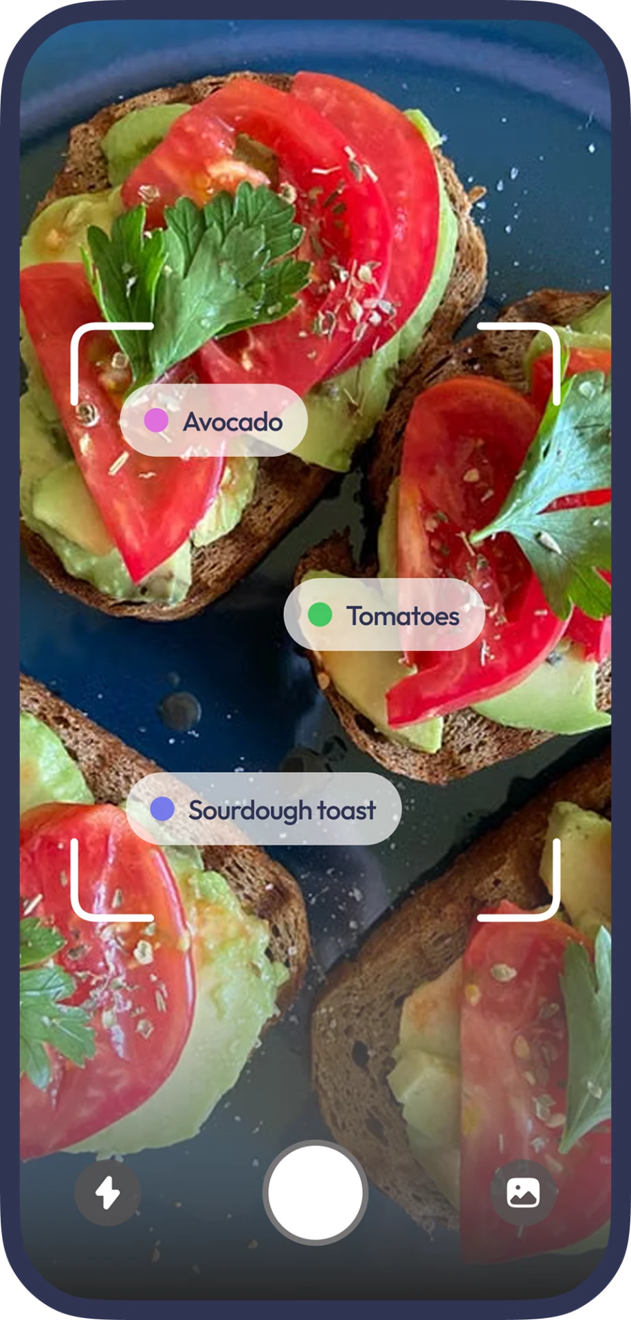 Lila app screen: Log meals and get personalized advice