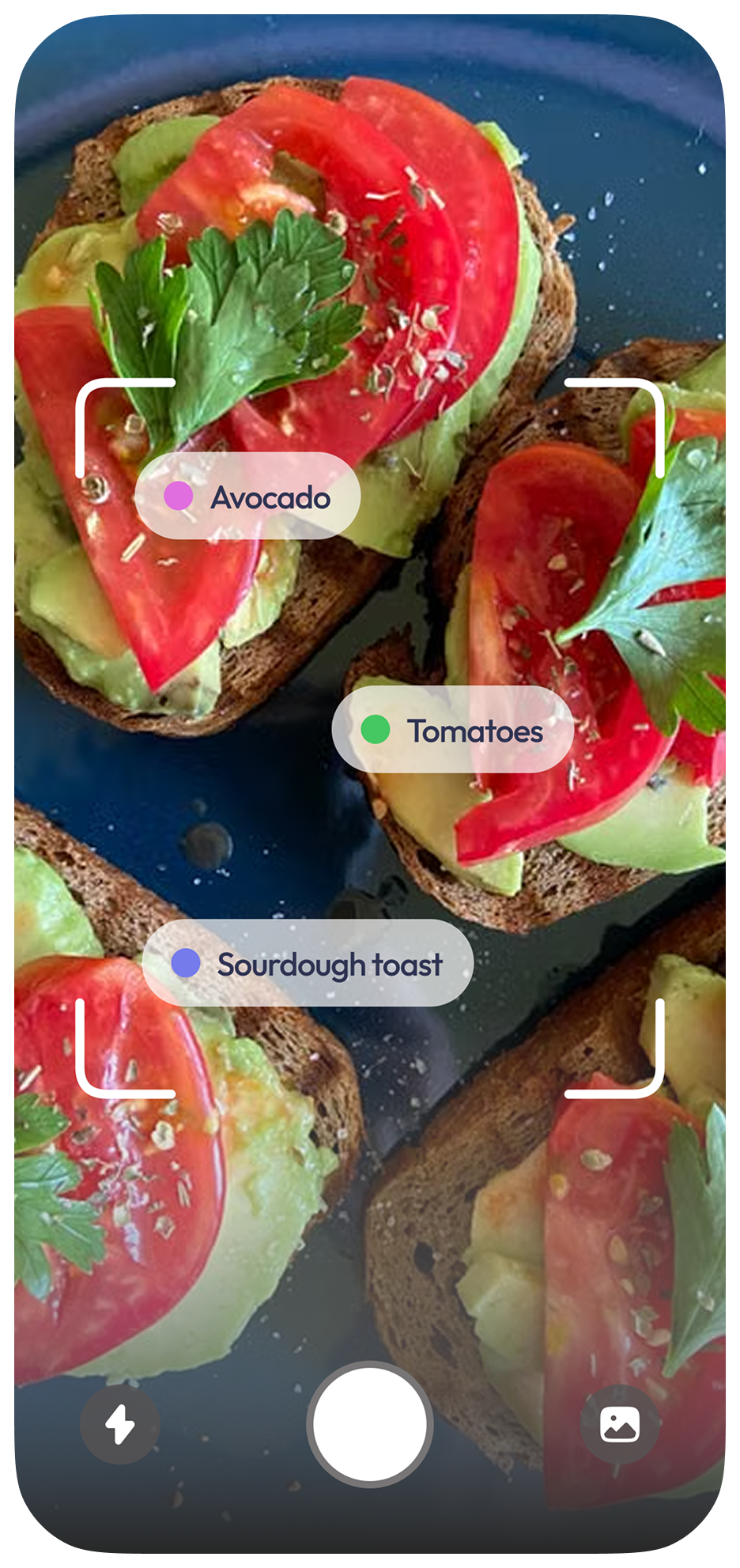 Lila app screen: Log meals and get personalized advice